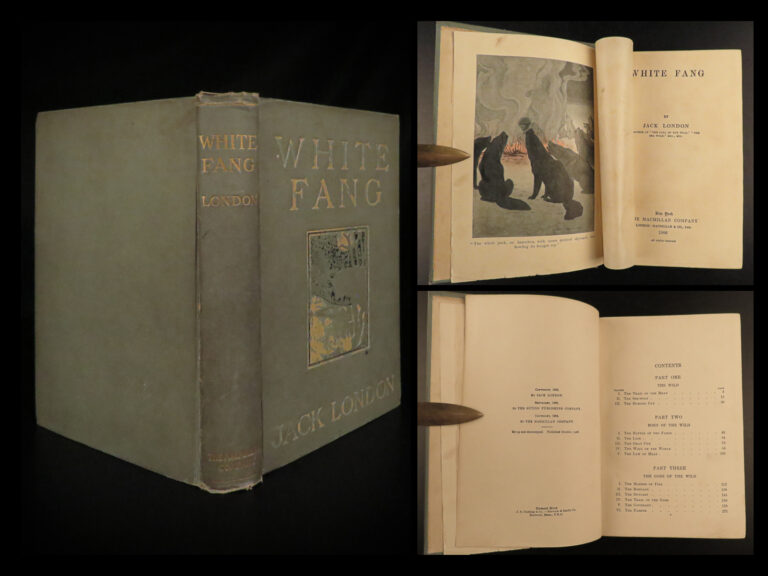 Image of 1906 1st ed White Fang by Jack London Adventure Novel Illustrated Wolves Indians