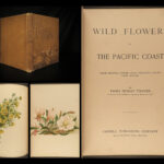 1887 Wild Flowers Pacific Coast California Oregon Seattle Washington Botanical