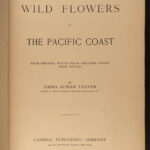 1887 Wild Flowers Pacific Coast California Oregon Seattle Washington Botanical