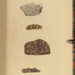 1844 English Botany James Sowerby Color Cryptogam Lichens Fungi Mosses Algae