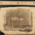 1830 OHIO 1ed FARMING Western Agriculturist Horses Cattle Bulls Veterinary Wine