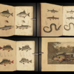 1807 HUNTING & FISHING 1ed Rural Sports Color Illustrated Horses DOGS Falconry