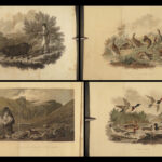 1807 HUNTING & FISHING 1ed Rural Sports Color Illustrated Horses DOGS Falconry