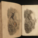 1807 HUNTING & FISHING 1ed Rural Sports Color Illustrated Horses DOGS Falconry