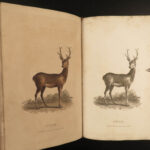 1807 1ed Rural Sports HUNTING & FISHING Color Illustrated Horses DOGS Falconry