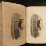 1807 1ed Rural Sports HUNTING & FISHING Color Illustrated Horses DOGS Falconry