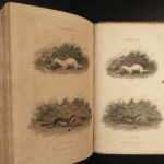1807 HUNTING & FISHING 1ed Rural Sports Color Illustrated Horses DOGS Falconry