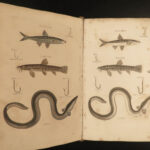 1807 HUNTING & FISHING 1ed Rural Sports Color Illustrated Horses DOGS Falconry