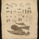 1807 HUNTING & FISHING 1ed Rural Sports Color Illustrated Horses DOGS Falconry