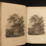 1807 1ed Rural Sports HUNTING & FISHING Color Illustrated Horses DOGS Falconry