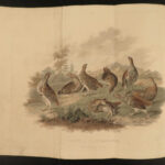 1807 HUNTING & FISHING 1ed Rural Sports Color Illustrated Horses DOGS Falconry