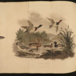 1807 HUNTING & FISHING 1ed Rural Sports Color Illustrated Horses DOGS Falconry