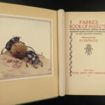 1921 Book of INSECTS Fabre Color Illustrated Edward Detmold Grasshoppers Bees