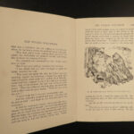 1904 1st ed Brown Fairy Book Andrew Lang Mermaids Elves Native American Indians