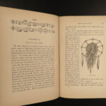 1890 1st ed CUSTER Following the Guidon Civil War Native American Indian Wars