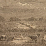 1862 Slavery SLAVE Trade in Africa Illustrated Civil WAR Blake Texas Dred Scott