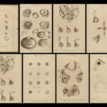 1804 1ed EYE ANATOMY Atlas Medicine Retina Optometry Sommerring Icones Oculi