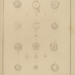 1804 1ed EYE ANATOMY Atlas Medicine Retina Optometry Sommerring Icones Oculi