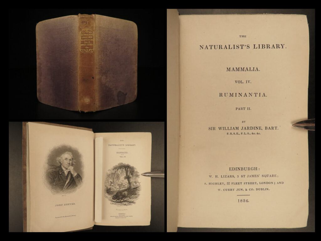1836 jardine naturalist natural mammals africa buffalo oxen bison cows cattle | sir william jardine was a 19<sup>th</sup>-century scottish naturalist most known for his extensive series of books on natural history, ‘<em>the naturalist’s library’. </em> <em> </em> this edition of jardine’s ‘<em>mammalia’</em> is beautifully color illustrated with engravings of various species of mammals! The plates from jardine’s works are exceedingly desirable and are found framed and displayed by themselves. This volume showcases african animals such as buffalo, gazelles, and sheep, american bison, goats, oxen, and cows. These hand-colored plates are tremendously beautiful! An excellent piece!