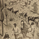 1896 General Nelson Miles 1ed Civil War Indian Wars Custer Catlin Remington ART