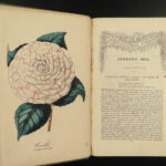 1853 FLOWERS Floricultural Cabinet Florist Magazine Color Botany Botanical ART