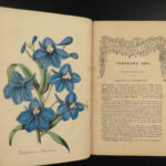 1853 FLOWERS Floricultural Cabinet Florist Magazine Color Botany Botanical ART