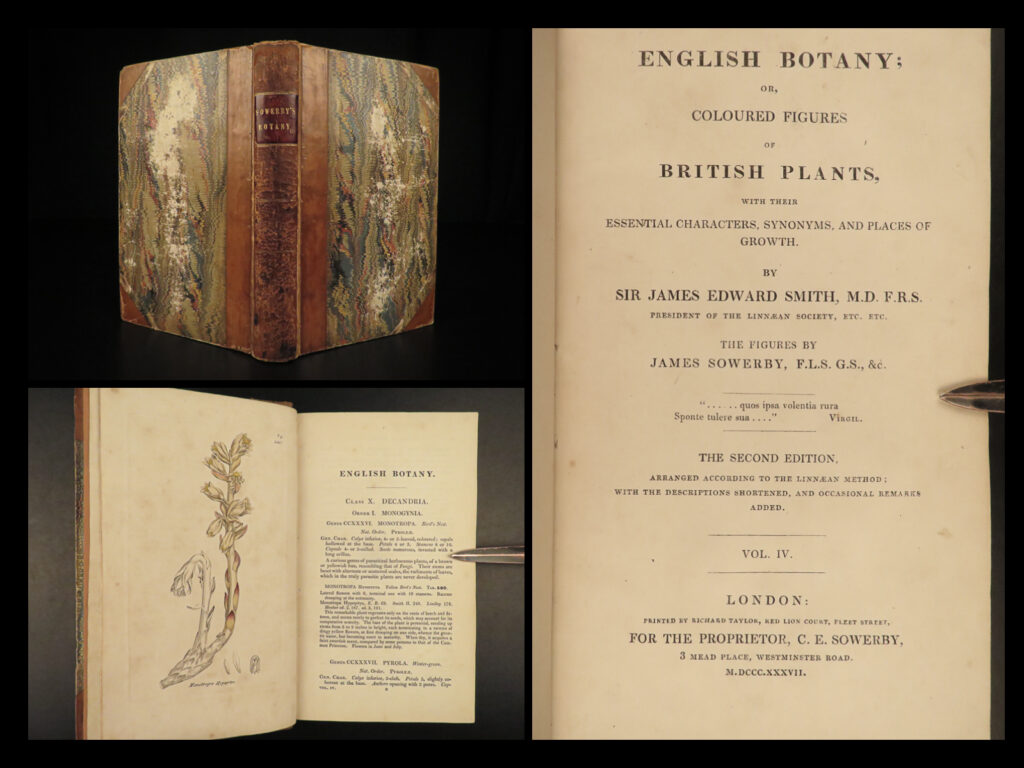 1837 english botany james sowerby color illustrated flowers british plants rare | in 1790, english naturalist james sowerby published what would become the preeminent illustrated work on english botany. Simply titled, <em>‘english botany</em>’, this work was a complete compendium of the native plants in great britain. Sowerby provided beautiful illustrations accompanied by descriptions of the various properties, natural habitat, and other characteristics of numerous plants across britain.   in tandem with charles e. Sowerby, english botanist sir james edward smith would later publish his own work on the subject, collaborating with and utilizing james sowerby’s popular floral illustrations. This specific edition includes 165 exquisite, hand-colored illustrations. <em> </em>