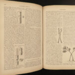 1859 Gardeners Assistant BEAUTIFUL Color Illustrated Plants Botany Flowers Fruit