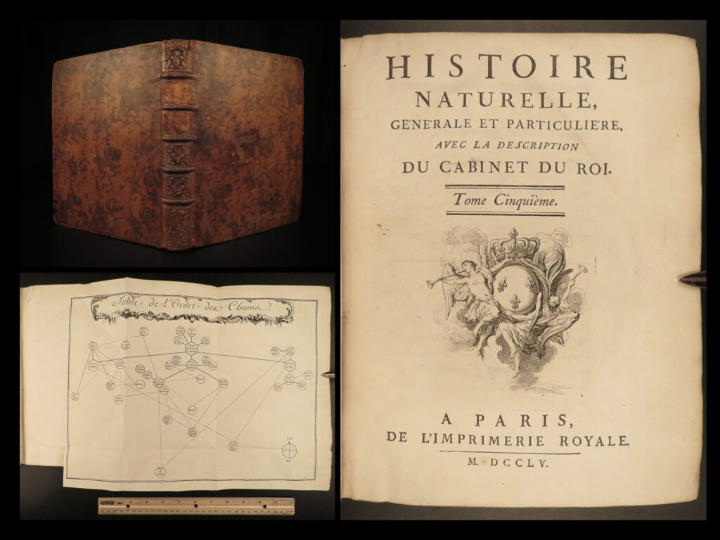 1755 buffon dogs natural history animals 52 illustrated pigs goats sheep rams | <em>"virtually all the well-known writers of the enlightenment were ‘buffonians’"</em> <em>― </em>ernst mayer   the monumental work by comte de buffon, “<em>histoire naturelle</em>,” was fascinating 18<sup>th</sup>-century collection of articles and encyclopedia entries on material sciences, physics, chemistry, technology, as well as the history of animals. Buffon wrote the volumes with the intent of addressing all of natural history, but after realizing the grandeur of the work, it focuses only minerals, birds, and quadrupeds.   this fifth volume includes history of hooved animals – sheep, goats, rams, and pigs, as well as a description of dogs. While each volume of this set is illustrated, this particular tome includes over fifty full-page engravings.
