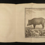 1755 Buffon DOGS Natural History ANIMALS 52 Illustrated PIGS Goats Sheep Rams