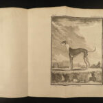 1755 Buffon DOGS Natural History ANIMALS 52 Illustrated PIGS Goats Sheep Rams