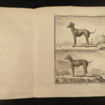 1755 Buffon DOGS Natural History ANIMALS 52 Illustrated PIGS Goats Sheep Rams