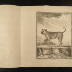 1755 Buffon DOGS Natural History ANIMALS 52 Illustrated PIGS Goats Sheep Rams