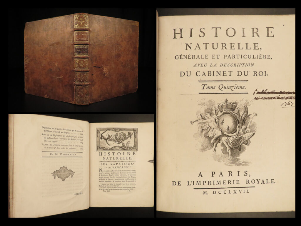 1767 buffon monkey primate evolution zoology natural history animals illustrated | <em>"virtually all the well-known writers of the enlightenment were ‘buffonians’"</em> <em>― </em>ernst mayer   the monumental work by comte de buffon, “<em>histoire naturelle</em>,” was fascinating 18<sup>th</sup>-century collection of articles and encyclopedia entries on material sciences, physics, chemistry, technology, as well as the history of animals. Buffon wrote the volumes with the intent of addressing all of natural history, but after realizing the grandeur of the work, it focuses only minerals, birds, and quadrupeds.   the volume of this set was the original final volume of the complete set. This popular volume is a continuation of the previous tome, a volume describing monkeys and includes descriptions that helped develop evolutionary theories. The illustrations include smaller monkeys such as: saki monkey, capuchin, horned monkeys, tamarin monkey, spider monkey, and many other lesser-known, small primate species.  