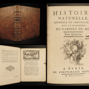 1767 Buffon MONKEY Primate Evolution Zoology Natural History ANIMALS Illustrated