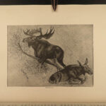 1890 1ed Big Game Hunting of North America Deer Polar Bears Caribou Wolves Hunter