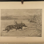 1890 1ed Big Game Hunting of North America Deer Polar Bears Caribou Wolves Hunter