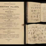 1818 BOTANY Linnaeus British Plants Withering Natural Science Flora 4v Botanical