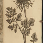 1818 BOTANY Linnaeus British Plants Withering Natural Science Flora 4v Botanical