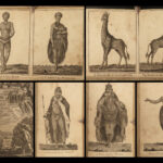 1791 AFRICA Voyages Vaillant Hottentot Ethnology Zoology Giraffe Illustrated 2v