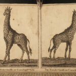 1791 AFRICA Voyages Vaillant Hottentot Ethnology Zoology Giraffe Illustrated 2v