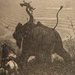 1874 Jules Verne 1st ed Adventures in the Land of the Behemoth Meridiana Shepherd
