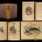 1843 FISH 1ed Jardine FISHING Piranha Salmon Dorsa Ichthyology Africa Guiana ART