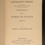 1843 FISH 1ed Jardine FISHING Piranha Salmon Dorsa Ichthyology Africa Guiana ART