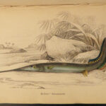 1843 FISH 1ed Jardine FISHING Piranha Salmon Dorsa Ichthyology Africa Guiana ART