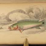 1843 FISH 1ed Jardine FISHING Piranha Salmon Dorsa Ichthyology Africa Guiana ART