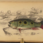 1843 FISH 1ed Jardine FISHING Piranha Salmon Dorsa Ichthyology Africa Guiana ART