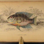 1843 FISH 1ed Jardine FISHING Piranha Salmon Dorsa Ichthyology Africa Guiana ART