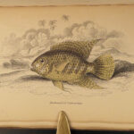 1843 FISH 1ed Jardine FISHING Piranha Salmon Dorsa Ichthyology Africa Guiana ART