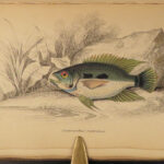 1843 FISH 1ed Jardine FISHING Piranha Salmon Dorsa Ichthyology Africa Guiana ART